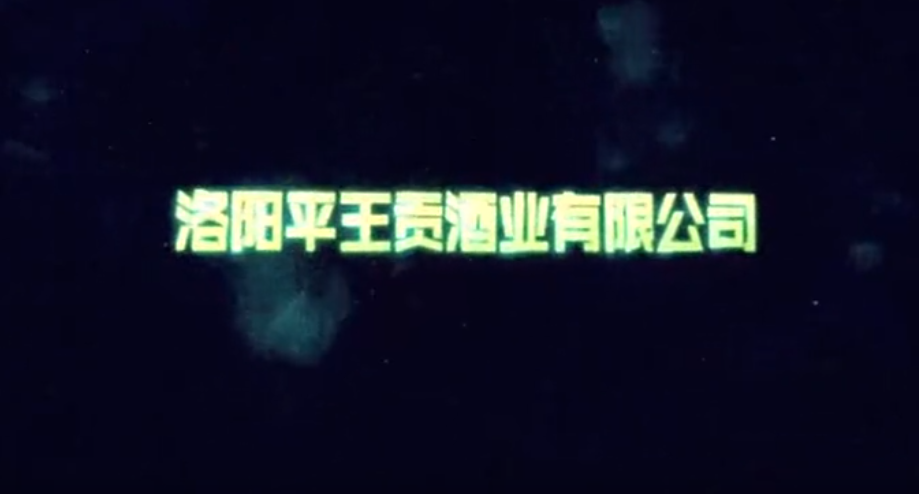 平王贡企业宣传片